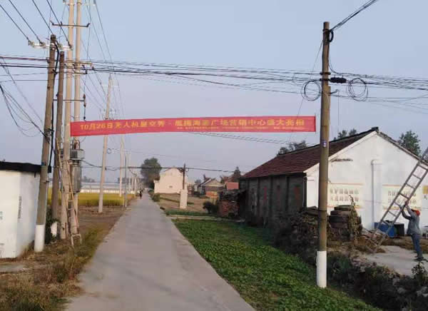 凰騰·海姜廣場鄉(xiāng)村（鎮(zhèn)）條幅制作安裝